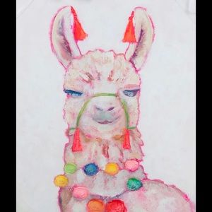 Fun Llama Canvas Painting